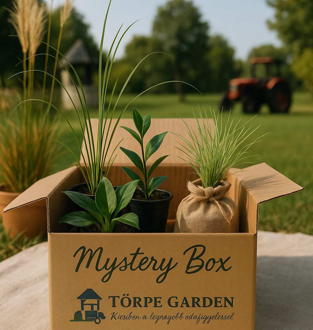 Törpe Garden Mystery box  "The King"