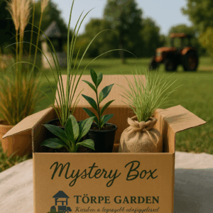 Törpe Garden Mystery box  "The King"
