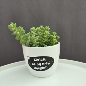 Fehér kerámia kaspó felirattal 10cm⊘