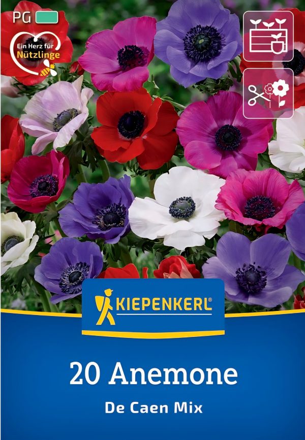 Szellőrózsa mix - 20 hagyma