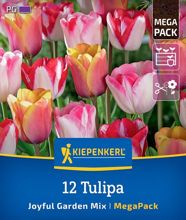 Tulipán Joyful Garden mix - 12 hagyma