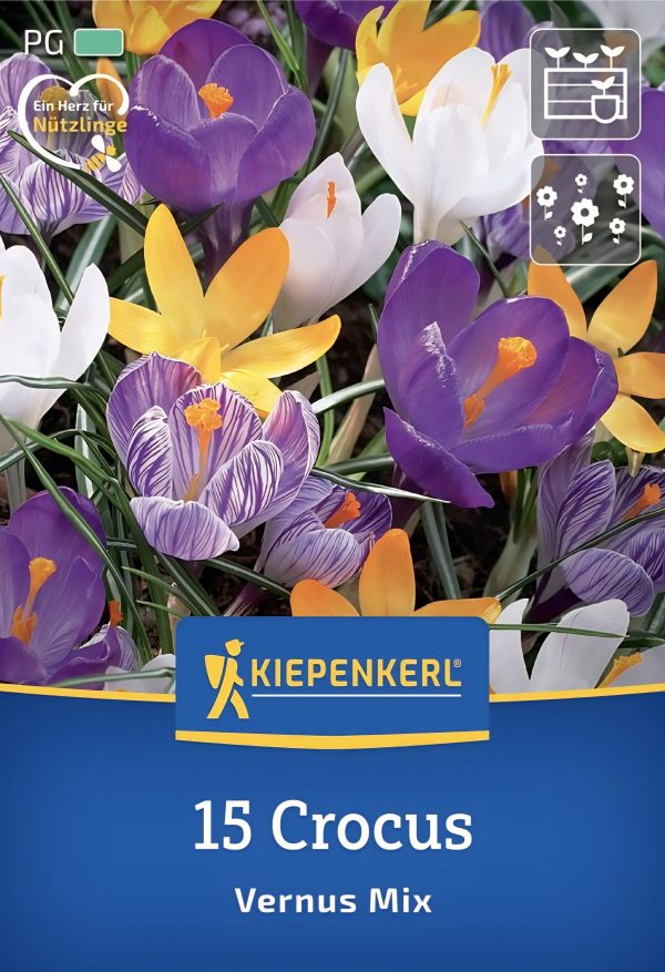 Crocus Vernus mix - 15 hagyma