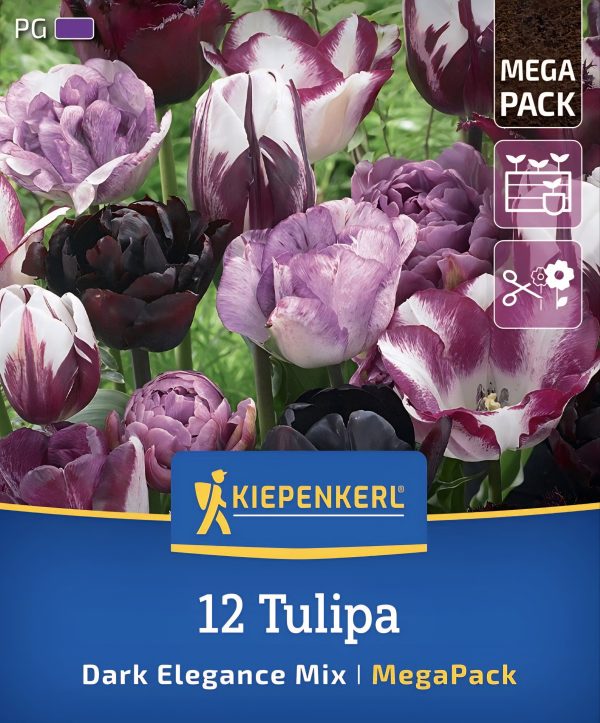 Tulipán Dark Elegance mix - 12 hagyma