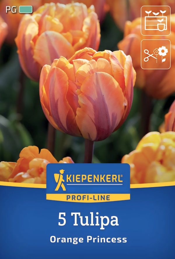 Tulipán Orange Princess - 5 hagyma