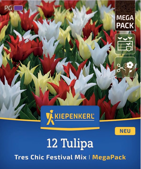 Tulipán Tres Chic Festival mix - 12 hagyma