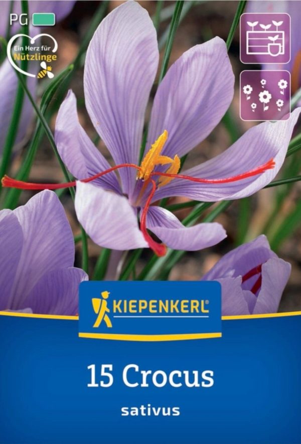 Crocus Sativus - 15 hagyma