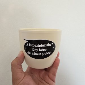 Vaj színű kerámia kaspó felirattal 10cm⊘