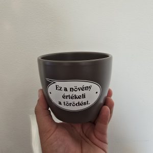 Szürke kerámia kaspó felirattal 10cm⊘