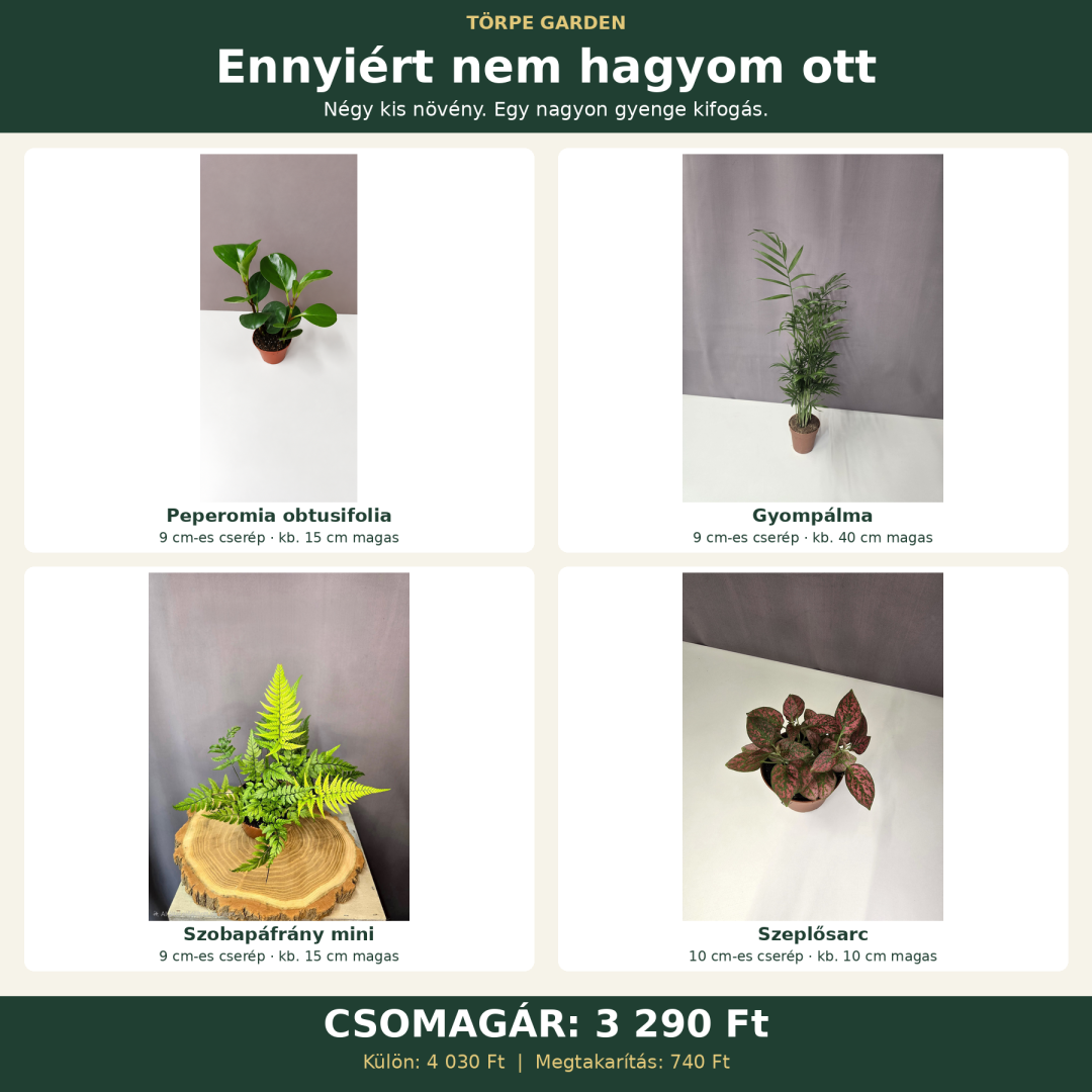„Ennyiért nem hagyom ott” növénycsomag