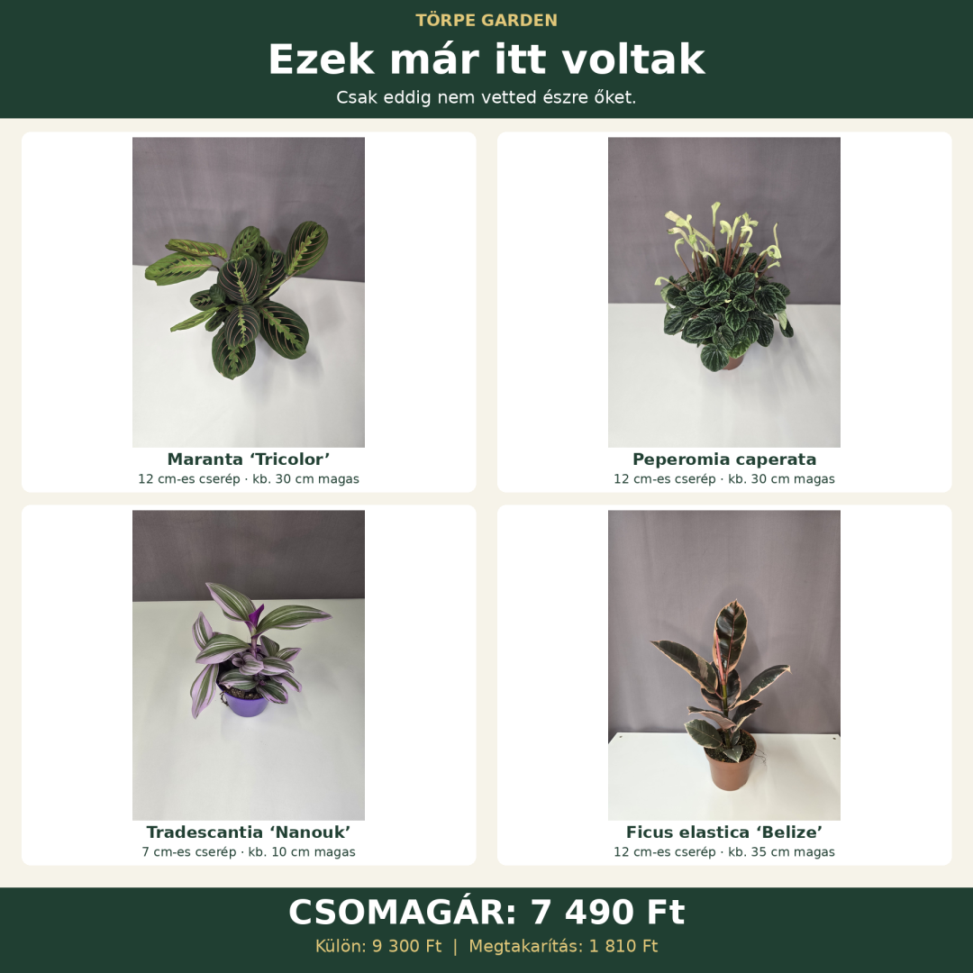 „Ezek már itt voltak” növénycsomag