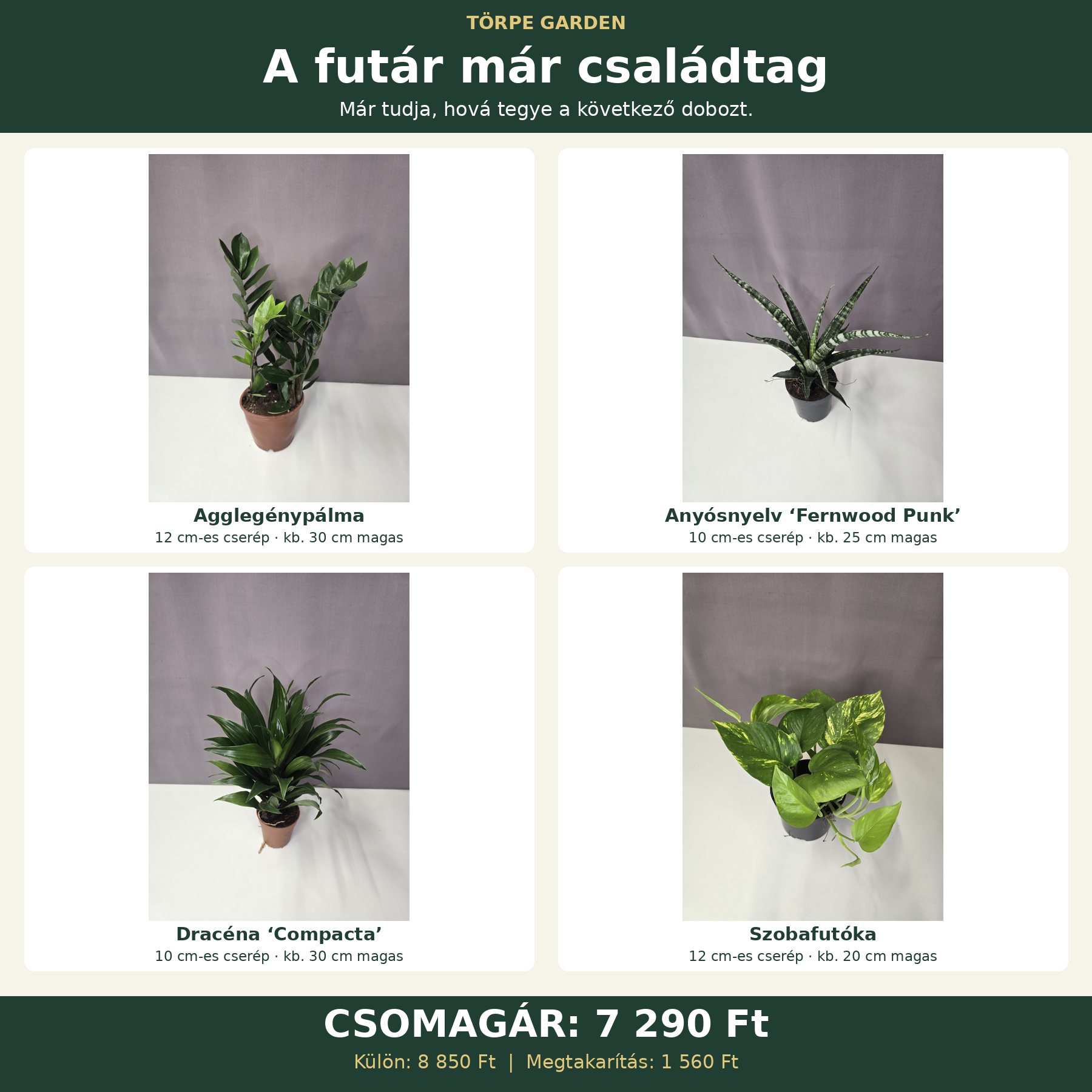 „A futár már családtag” növénycsomag